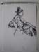 flamenco b